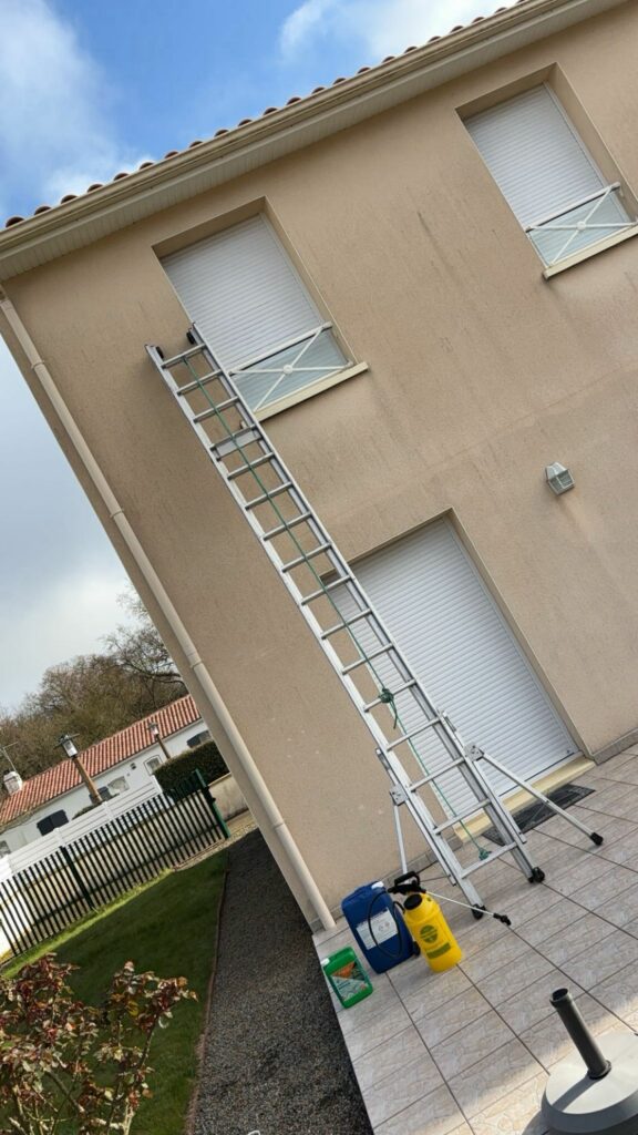 Bordure zinc, installation, Prestige Tapis Suisse Suisse romande